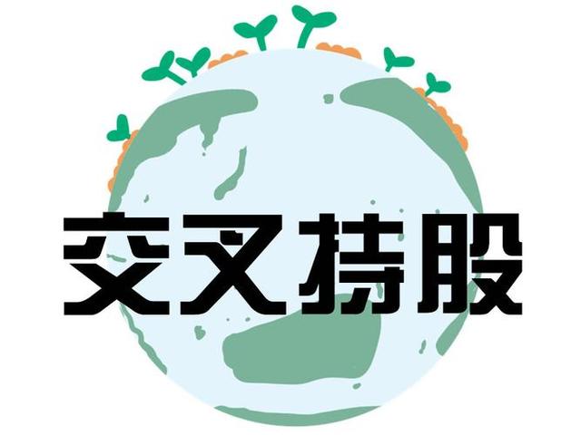 交叉持股安排设计(交叉持股怎么计算持股比例)凯里市